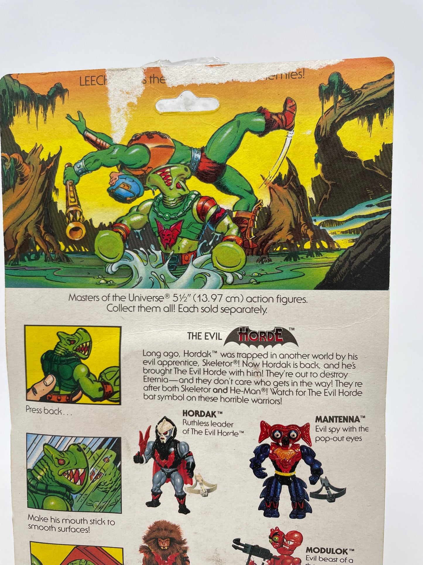 Leech - WAS $275 - NOW 50% OFF AT $137.50